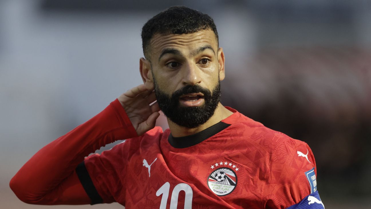 FIFA要求埃及队世界杯球衣移除七颗星